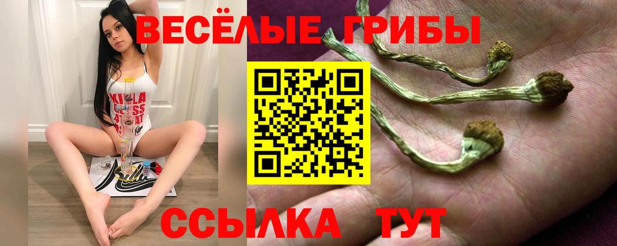 Нефтекумск  Галлюциногенные грибы Psilocybe  Вход с VPN 